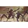 Starship Troopers Extermination - Edition (PEGI) (PS5)