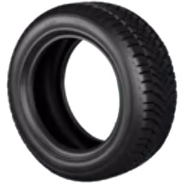 Maxxis AP2 205/55 R15 88V