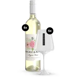 SCAVI & RAY Summer Dream [Spar-Paket]