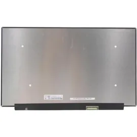 CoreParts MSC156F40-222M Notebook-Ersatzteil Anzeige, (MSC156F40-222M)