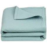 ZOLLNER Kuscheldecke hellblau 150x200 cm, OEKO-TEX® STANDARD 100, Wohntextilien, Decken, Kuscheldecken - 2 Jahre Gewährleistung - mind. 14 Tage Rückgaberecht – Blau,Candy-Colours - 150x200