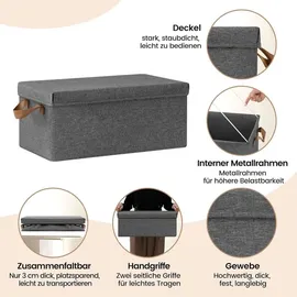 Woltu 6er Set Aufbewahrungsboxen mit Deckel, mit Griffen, faltbar, Grau, 27L(48x29x20 cm