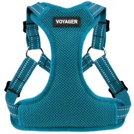 Best Pet Supplies Voyager Hundegeschirr Türkis S