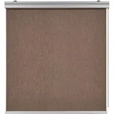 STORESDECO Verdunkelungsrollo 60 x 250 cm braun