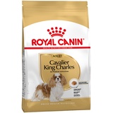 Royal Canin 3kg Cavalier King Charles Adult Royal Canin Hundefutter trocken