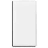 kompatible Ware Magnete weiß, Kunststoff 2,8 x 5,5 x 0,75 cm, 10 St.