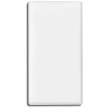 kompatible Ware Magnete weiß, Kunststoff 2,8 x 5,5 x 0,75 cm, 10 St.
