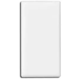 kompatible Ware Magnete weiß, Kunststoff 2,8 x 5,5 x 0,75 cm, 10 St.