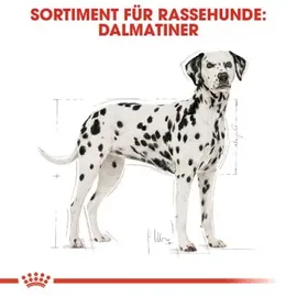 Royal Canin Dalmatian Adult 12 kg