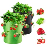 Homealexa Pflanzsack, Pflanzen Tasche Pflanzbeutel 40L/10 Gallonen mit Griffen, Dauerhaft Atmungsaktiv Beutel Gemüse Grow Bag, 2er Pack (Erdbeere 2)