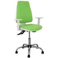 Piqueras y Crespo 2b5crrp Bürostuhl - Pistachio - One