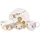Villeroy & Boch Roar like a Lion Kindergeschirr Set 3-teilig