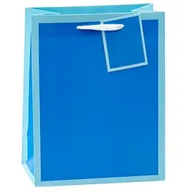 TSI Geschenktüten Mittel 18 x 23 cm 12 St. Blau/Rosa/Rot/Grün