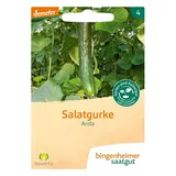 Bingenheimer Saatgut Salatgurke, Arola