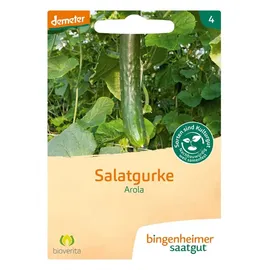 Bingenheimer Saatgut Salatgurke, Arola