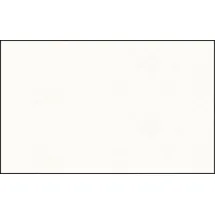 Buntpapierfabrik Ludwig Bähr Elefantenhaut 110g/qm A4 VE=50 Blatt hochweiß