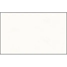 Buntpapierfabrik Ludwig Bähr Elefantenhaut 110g/qm A4 VE=50 Blatt hochweiß