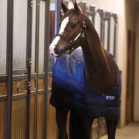 Horseware Unterdecke 200g Liner