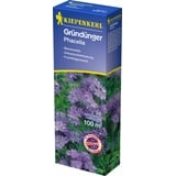 Kiepenkerl Gründünger Phacelia Phacelia tanacetifolia, Inhalt: 400 g