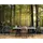 WallArena Fototapete Wald 250x175 cm