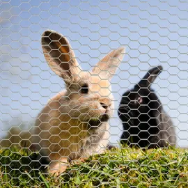 Wiltec Volierendraht 5 x 0,5 m, Hasendraht mit 13 mm Maschenweite, Sechseckgeflecht Stahl verzinkt, wetterfester Hühnerdraht für Gehege