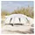 vidaXL Kuppelzelt 6,95 x 6,95 m Grau