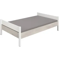 PAIDI Bett KIRA