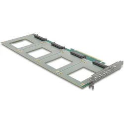 Delock Speicher-Controller - Gabelung, 288 x 122 mm