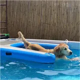 Hundebadeleiter Faltbare Rampen für Hundepools See/ Anlegestelle/ Boot/ Meer schwimmender Hundebadeleiter Rutschfeste EVA-Liegeplattform für Hunde bis 60 kg Einfach aufzublasen und zu entleeren(Blue,1