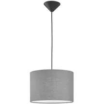 meine wunschleuchte FISCHER & HONSEL LED Pendelleuchte 1-flg. rund grau