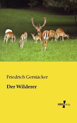Der Wilderer - Friedrich Gerstäcker  Kartoniert (TB)