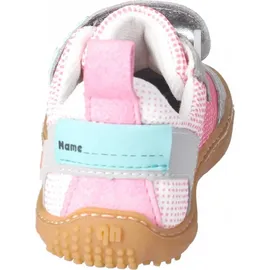 qnuffs Fichte Rosa 25