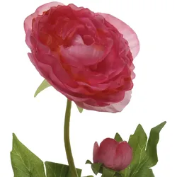 Ranunkel mit Blüte und Knospe am Stiel Kunstblume Dekoblume H: 57cm rot