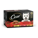 Cesar Schale Multipack Klassiker Selektion