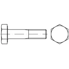 Peiner Umformtechnik Peiner EN 14399-4 Sechskant-Schaftschraube M20x250 Stahl 10.9 feuerverzinkt