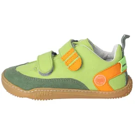 qnuffs Ahorn Kinder Grün/Orange 27
