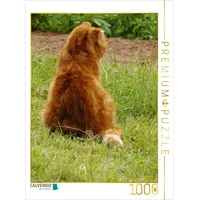 Calvendo Kater Felix auf Mäusejagd 1000 Teile Puzzle hoch