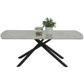 HELA Tische Hela Tische, Couchtisch Fred mit Steinplatte,Dekor Marmor Grau, Spinnengestell Metall Schwarz, 120x68x45cm