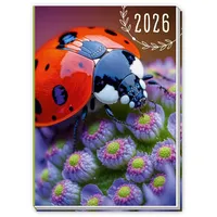 Trötsch Verlag Trötsch Taschenkalender A7 Marienkäfer 2026 Mini-Terminkalender