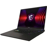 MSI Vector 17 HX A14VHG-1009 Intel Core i9-14900HX 32 GB RAM 1 TB SSD