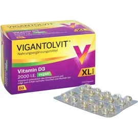 Vitamin D3 2000 I.E. Kapseln 120 St.