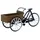 Lemax Carry Bike