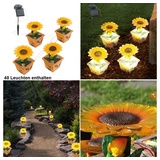 Eglo 10er Set LED Solar Leuchten Blüten Sonnen Blumen Garten Topf Pflanze Außen Dekorationen Lampen IP44