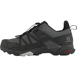 Salomon X Ultra 4 GTX Herren Magnet/Black/Monument 41 1/3
