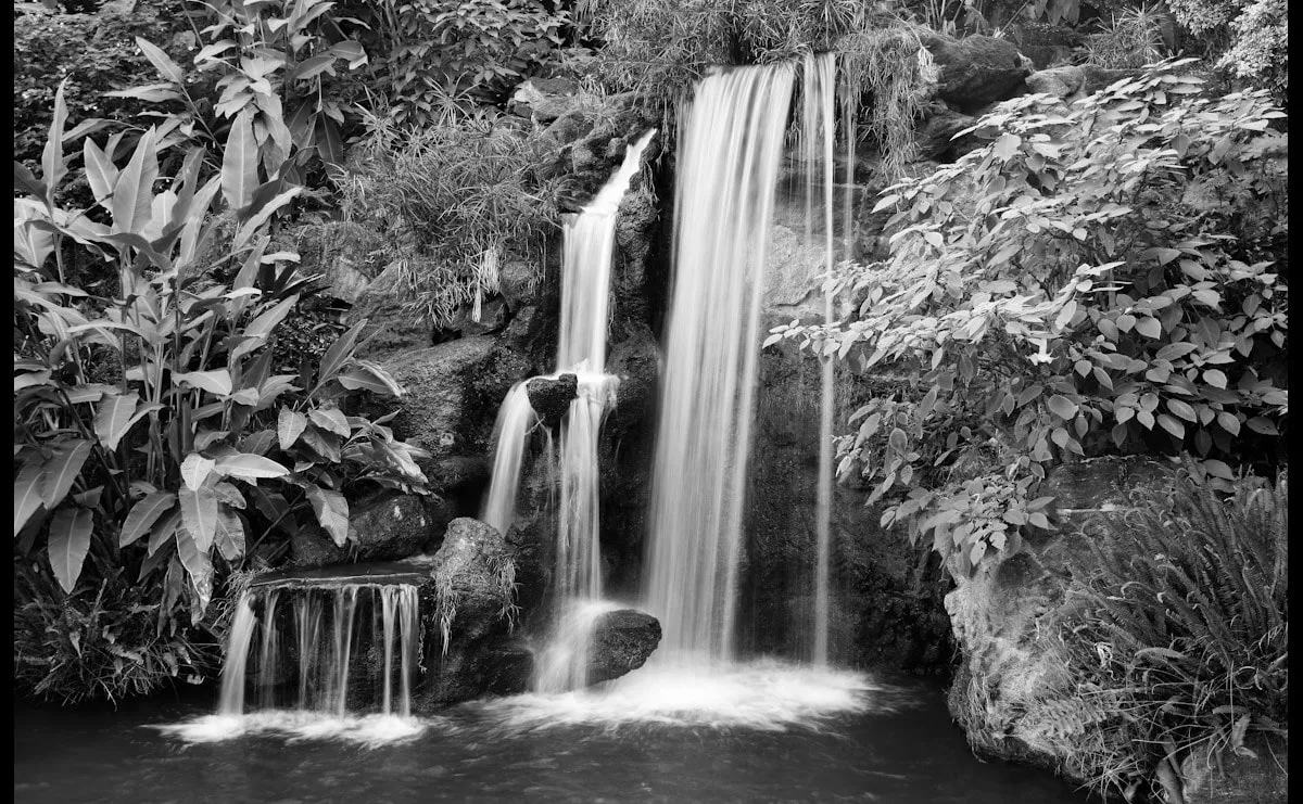 Fototapete PAPERMOON "Schwarzweiss-Wasserfall", bunt, B:5,0m L:2,8m, Vlies, Tapeten