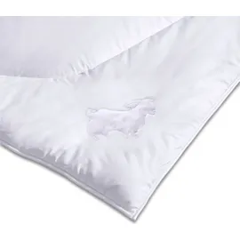 Kauffmann Cashmere medium (Größe: 140x200 cm