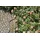 Gardena Liano Textilschlauch Set 13 mm 1/2" 20 m 18434-20