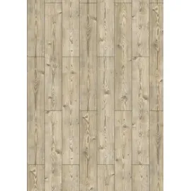 Classen Edition 7 V 128,6 x 19,4 cm tauernfichte braun