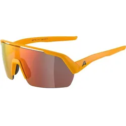 ALPINA Herren Brille TURBO HR, burned-yellow matt, ONE SIZE