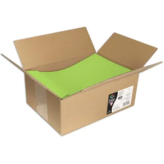 Clairefontaine 7055C Packung mit 200 Umschläge Pollen C4, 120g VE=200 Stück Haftklebung minze